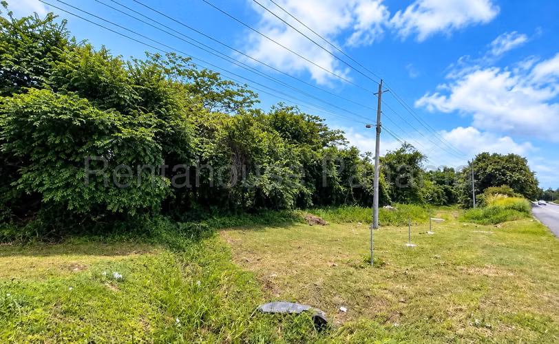 Venta de Terreno en Chame Cabecera Villas Campestres 7,656.43 Mts PD - Imagen 6