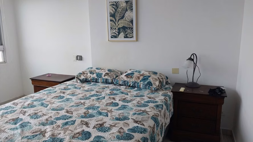 C2011 SE ALQUILA AMPLIO APARTAMENTO AMOBLADO EN SAN FRANCISCO  - Imagen 9