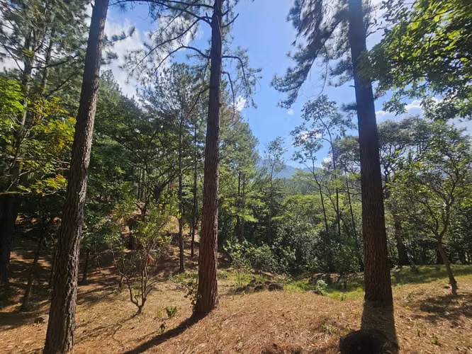 Terreno en Venta en Altos del María 129,000