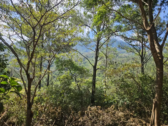 Terreno en Venta en Altos del María 129,000