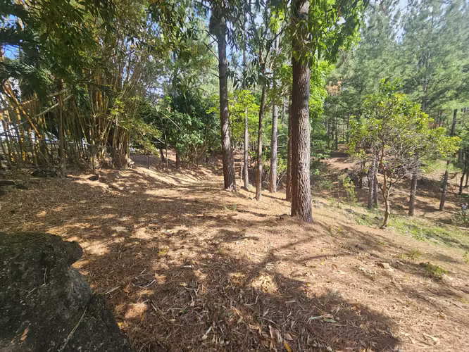 Terreno en Venta en Altos del María 129,000