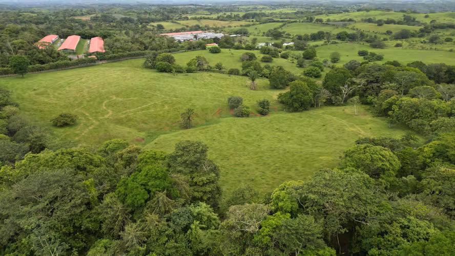 51 HECTÁREAS DE TERRENO! $3,571,715  - Imagen 3