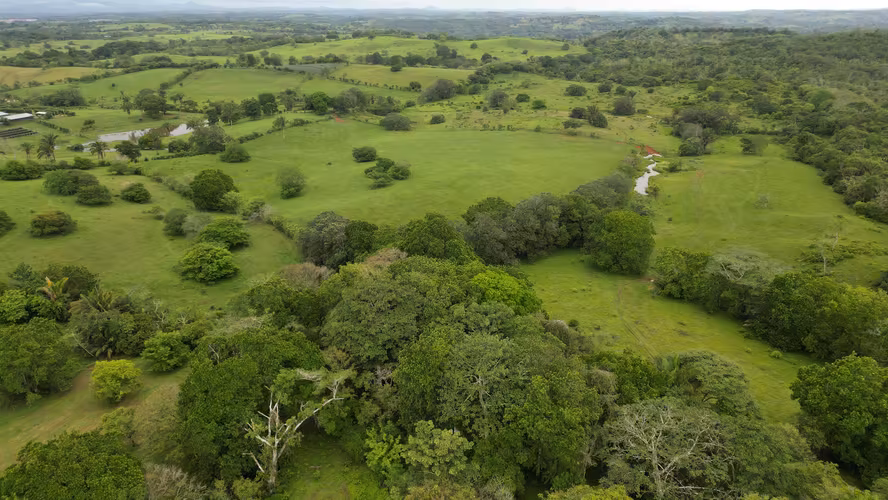 51 HECTÁREAS DE TERRENO! $3,571,715  - Imagen 5