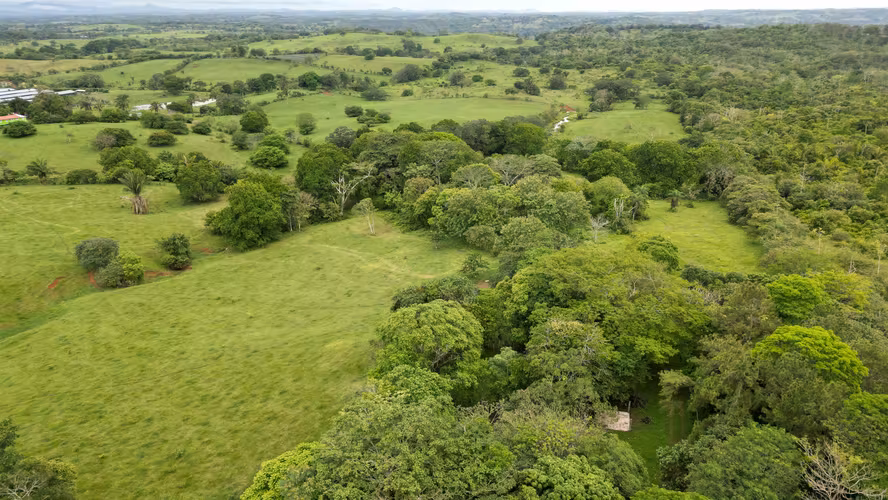 51 HECTÁREAS DE TERRENO! $3,571,715  - Imagen 2