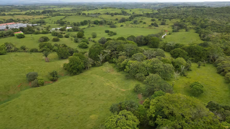 51 HECTÁREAS DE TERRENO! $3,571,715  - Imagen 4