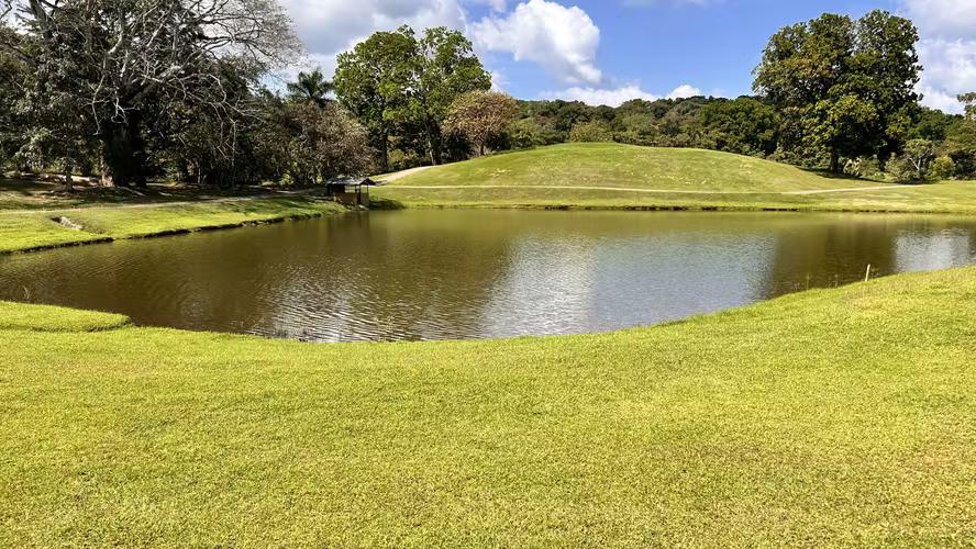 VENTA APARTAMENTO EN COCOLI