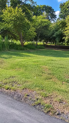 Venta de Terreno en Coronado, Club de Golf, 1,521m² - Imagen 9