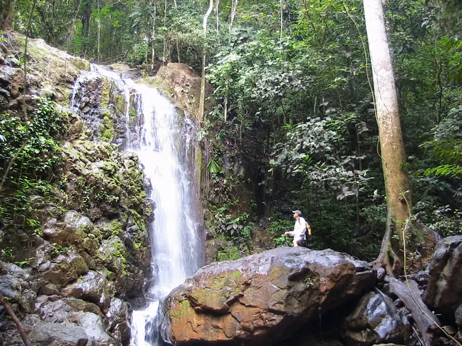 Finca de 244 Hectáreas con Río y Cascada en Chepo | Los Saltos