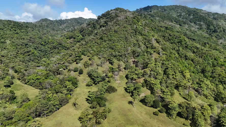 Finca de 244 Hectáreas con Río y Cascada en Chepo | Los Saltos