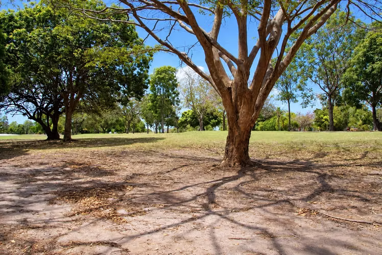 Venta de Terreno en Coronado, Club de Golf, 1,521m² - Imagen 4