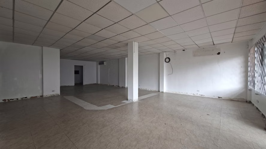 Se Alquila Local Comercial Via Israel - Imagen 3