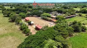 Venta | Finca agroindustrial 84,119 m² con restaurante y establos, Chitré VIK-27-2191 - Imagen 4