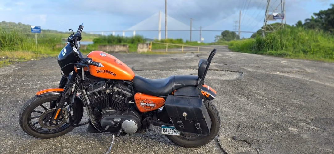Harley Davidson Sportster XL883N