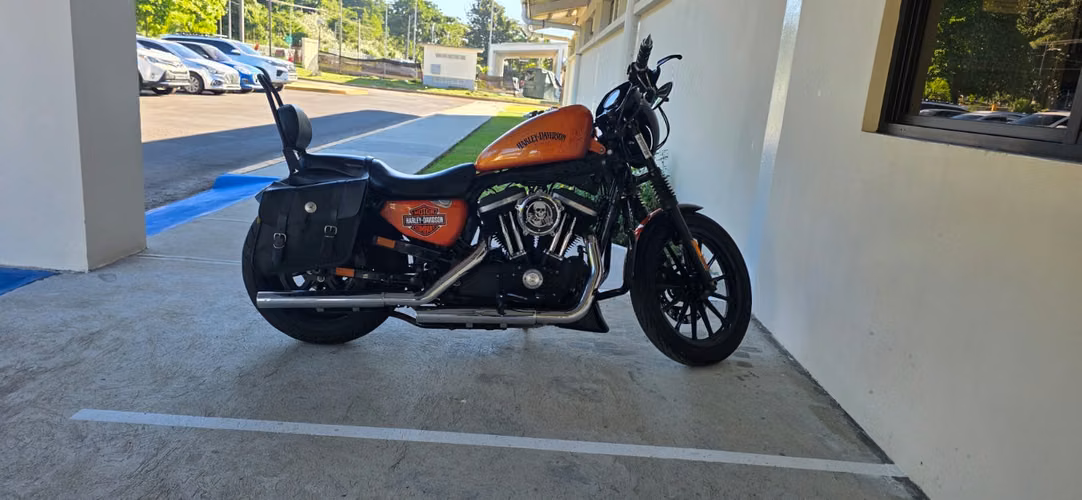 Harley Davidson Sportster XL883N