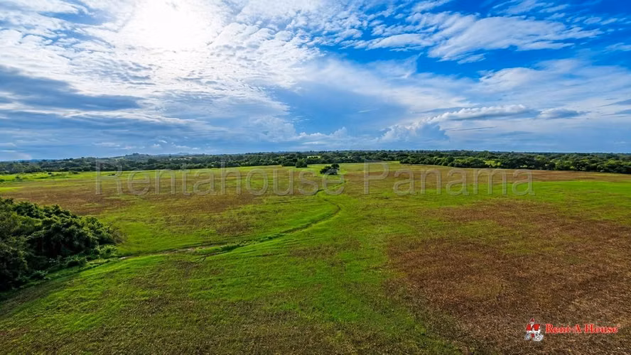 Terreno En Venta En Tablas Abajo YM