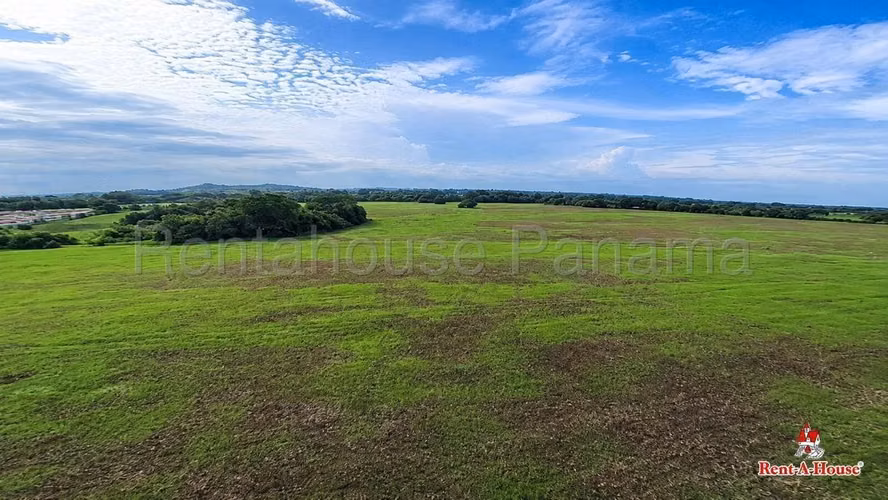 Terreno En Venta En Tablas Abajo YM