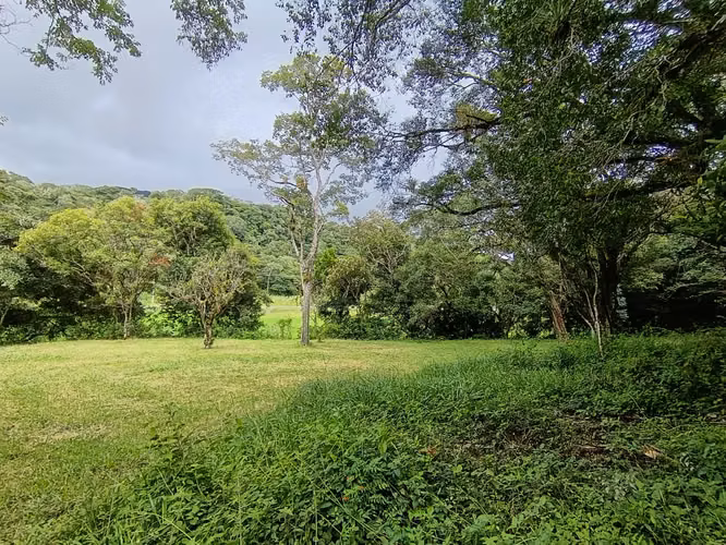 Se vende lote en Alto Boquete, Boquete, Chiriquí - Imagen 4