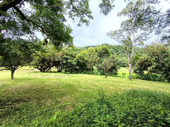 Se vende lote en Alto Boquete, Boquete, Chiriquí - Imagen 6