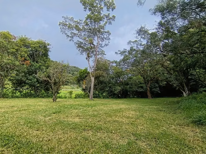 Se vende lote en Alto Boquete, Boquete, Chiriquí - Imagen 7