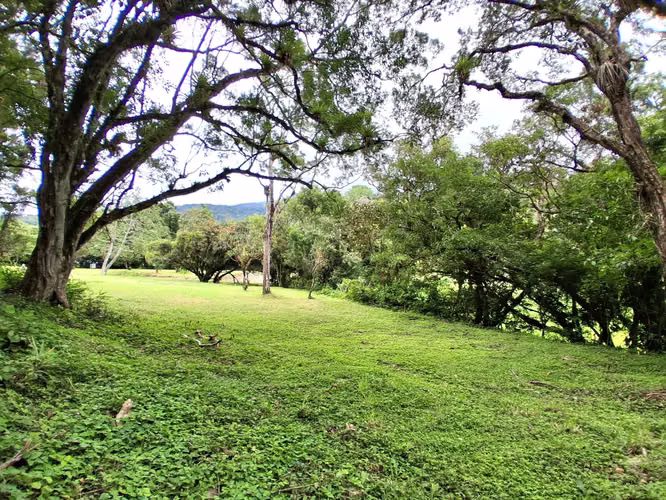 Se vende lote en Alto Boquete, Boquete, Chiriquí - Imagen 2