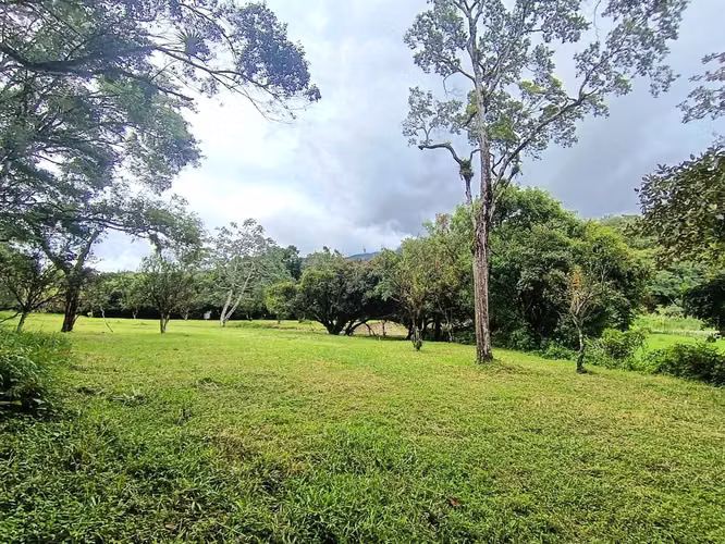 Se vende lote en Alto Boquete, Boquete, Chiriquí - Imagen 5