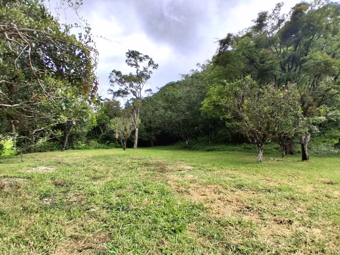 Se vende lote en Alto Boquete, Boquete, Chiriquí - Imagen 3