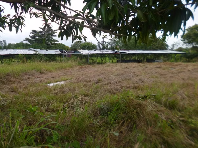 VENTA TERRENO COMERCIAL FINCA LAS GARZAS DE PACORA 26ML5285 - Imagen 10
