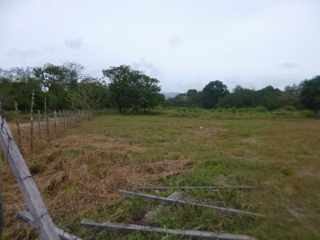 VENTA TERRENO COMERCIAL FINCA LAS GARZAS DE PACORA 26ML5285 - Imagen 3