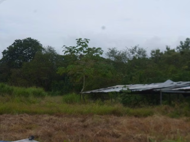 VENTA TERRENO COMERCIAL FINCA LAS GARZAS DE PACORA 26ML5285 - Imagen 9