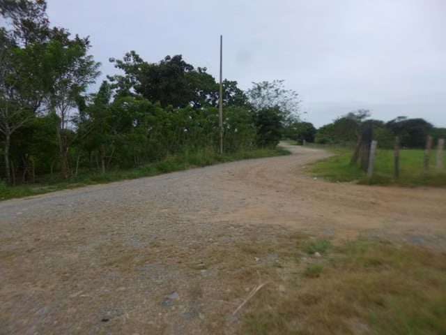 VENTA TERRENO COMERCIAL FINCA LAS GARZAS DE PACORA 26ML5285 - Imagen 11