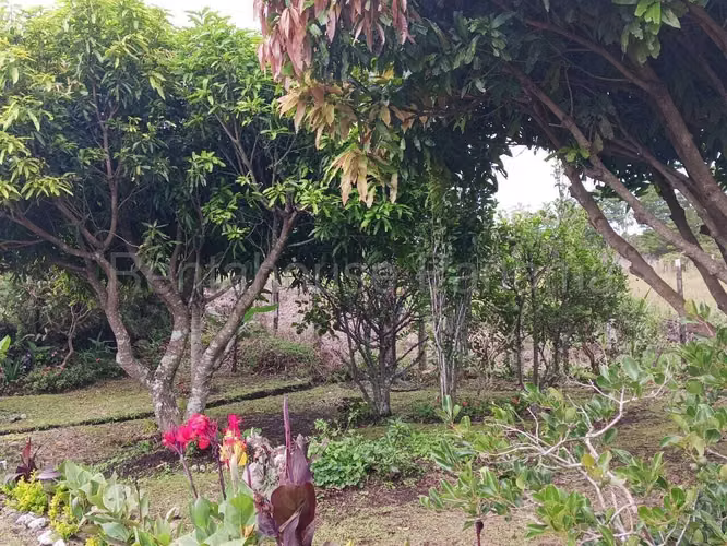 VENTA DE CASA EN VOLCÁN CENTRO VOLCAN - Imagen 13