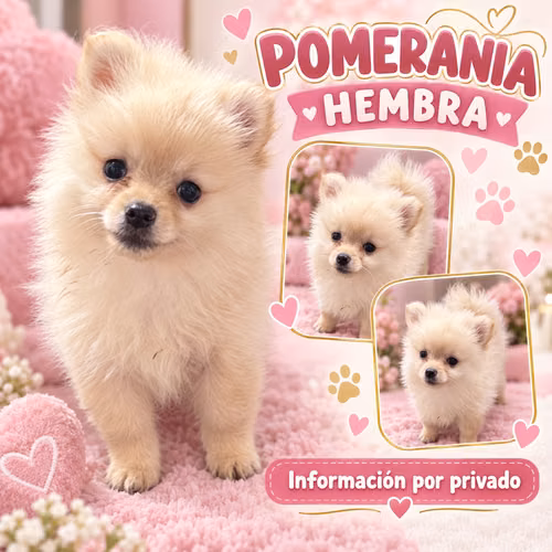 Hembra y dos machos  - Imagen 1