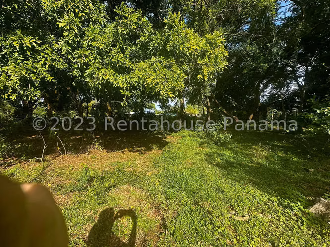 Venta de Terreno en Chiriqui Finca Arenal JV - Imagen 15