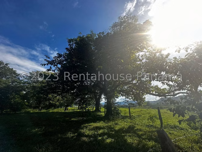 Venta de Terreno en Chiriqui Finca Arenal JV - Imagen 5