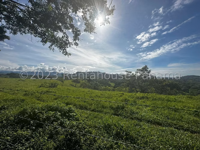 Venta de Terreno en Chiriqui Finca Arenal JV - Imagen 3