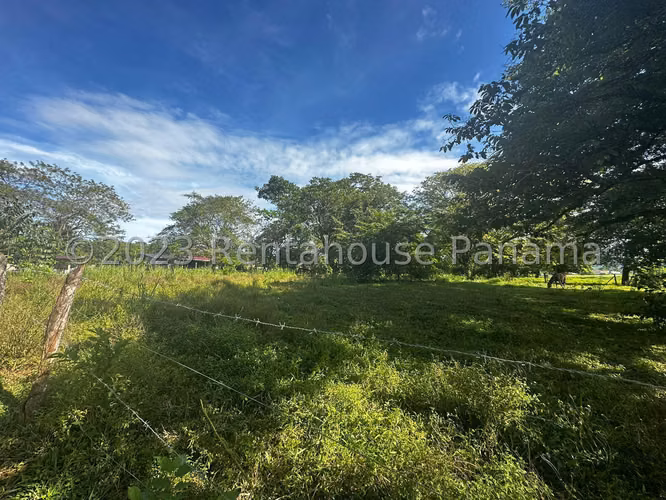 Venta de Terreno en Chiriqui Finca Arenal JV - Imagen 11