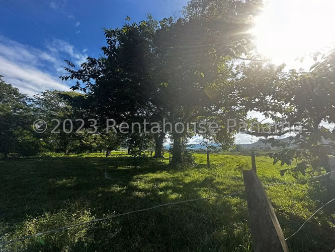 Venta de Terreno en Chiriqui Finca Arenal JV - Imagen 6