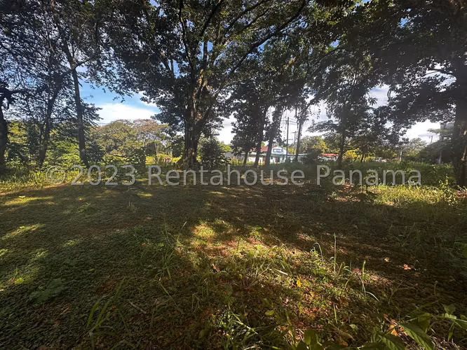 Venta de Terreno en Chiriqui Finca Arenal JV - Imagen 10