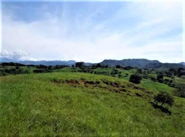 Venta de Terreno en Chiriqui Finca Arenal JV - Imagen 14