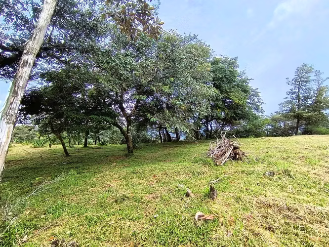 Se venden lotes en Jaramillo Abajo, Jaramillo, Boquete, Chiriquí - Imagen 7