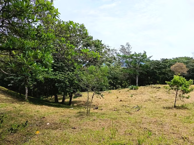 Se venden lotes en Jaramillo Abajo, Jaramillo, Boquete, Chiriquí - Imagen 4