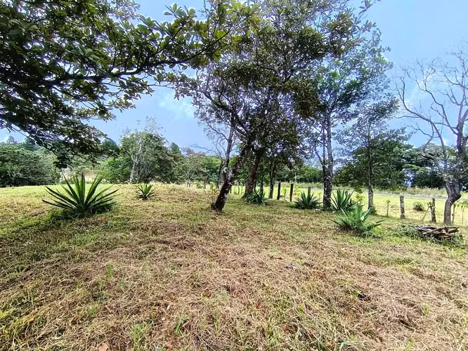 Se venden lotes en Jaramillo Abajo, Jaramillo, Boquete, Chiriquí - Imagen 6