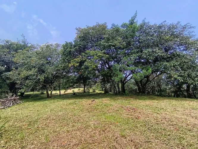 Se venden lotes en Jaramillo Abajo, Jaramillo, Boquete, Chiriquí - Imagen 5