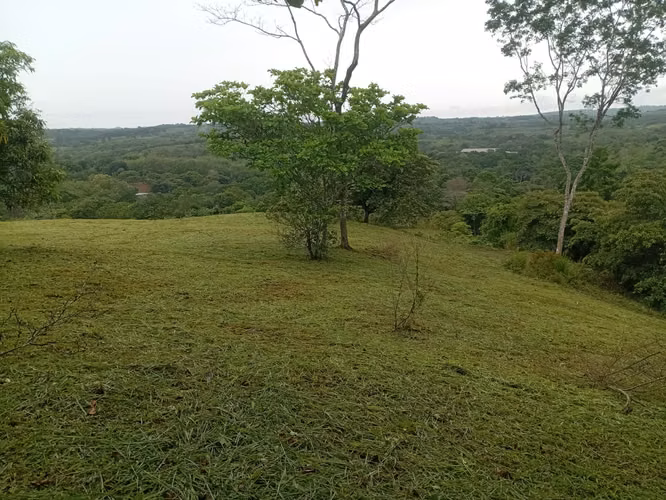 OFERTA-LA CHORRERA- POTRERO GRANDE, SE VENDE PROPIEDAD TITULADA, 10000 METROS - Imagen 6