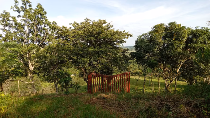 OFERTA-LA CHORRERA- POTRERO GRANDE, SE VENDE PROPIEDAD TITULADA, 10000 METROS