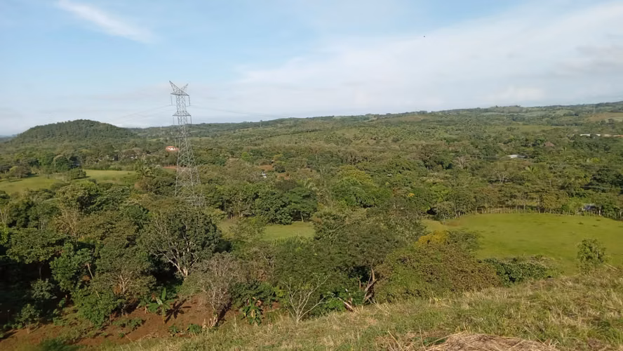 OFERTA-LA CHORRERA- POTRERO GRANDE, SE VENDE PROPIEDAD TITULADA, 10000 METROS - Imagen 13