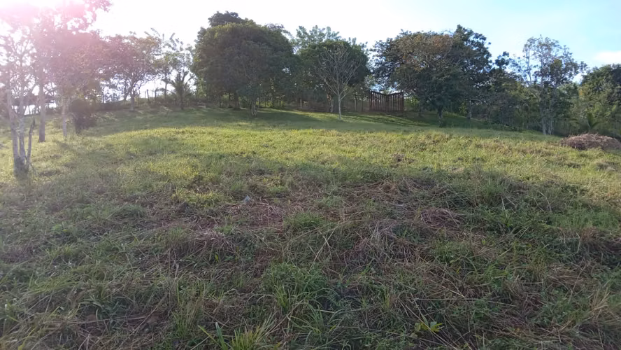 OFERTA-LA CHORRERA- POTRERO GRANDE, SE VENDE PROPIEDAD TITULADA, 10000 METROS - Imagen 17