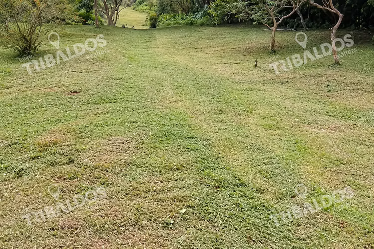 Venta de terreno Ecoturístico a 8km de el pueblo de El Valle de Antón - Imagen 6
