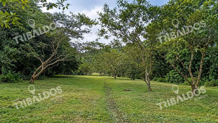 Venta de terreno Ecoturístico a 8km de el pueblo de El Valle de Antón