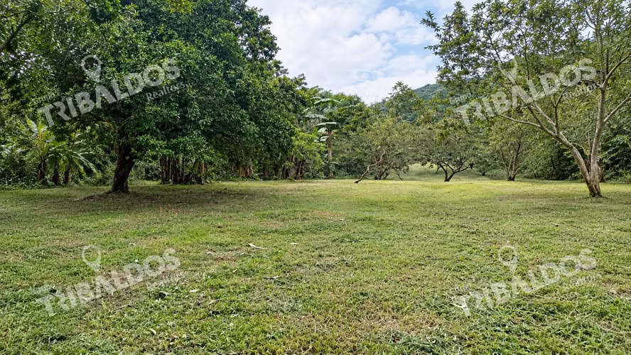 Venta de terreno Ecoturístico a 8km de el pueblo de El Valle de Antón